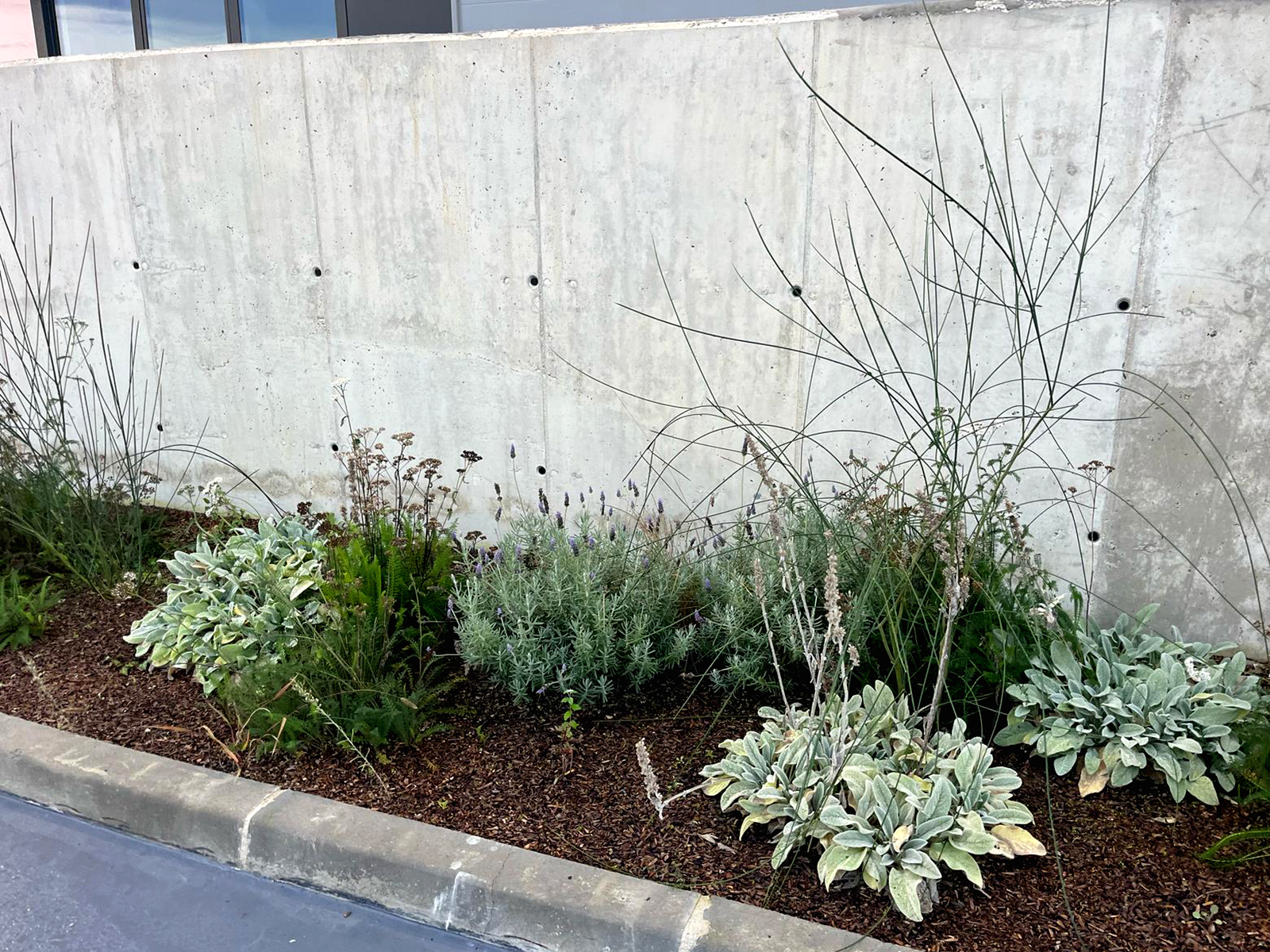 breeam-versatil-green-1