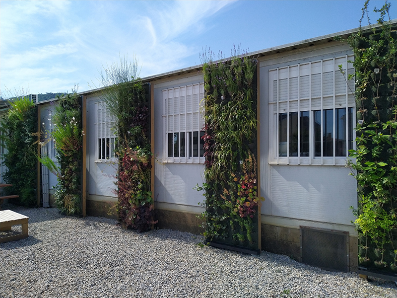 {"capture_mode":"AutoModule","faces":[]}