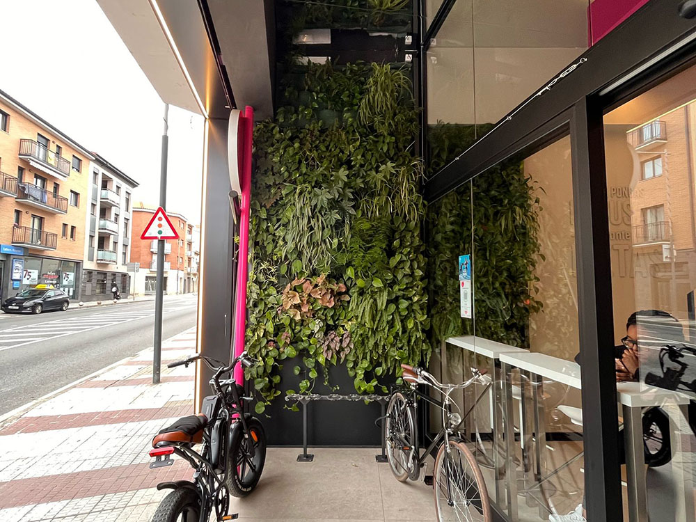 jardi-vertical-gimnas-2