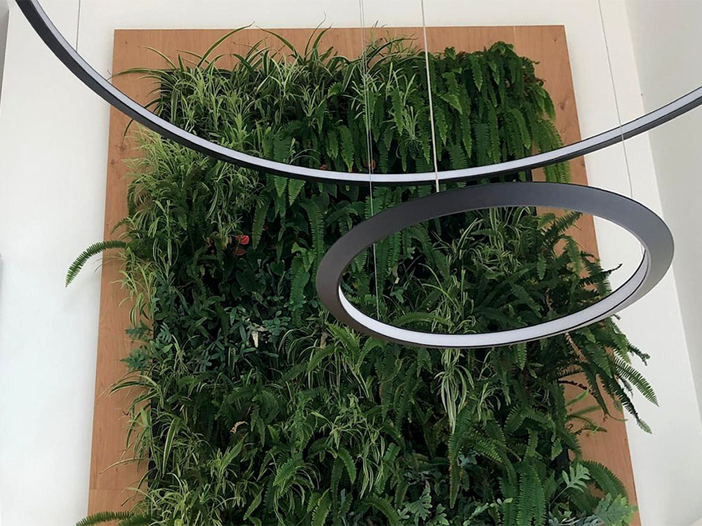 jardí-vertical-interior-casa-igualada