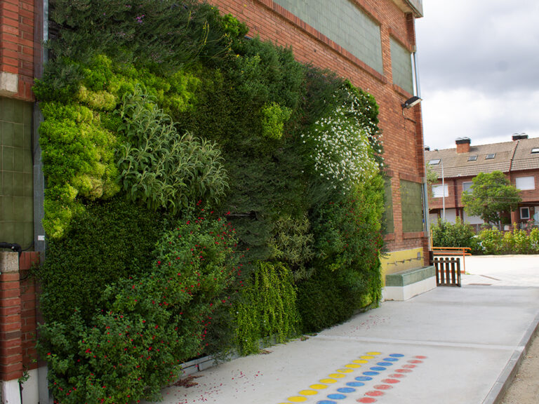 jardi-verticals-escoles-barcelona-1