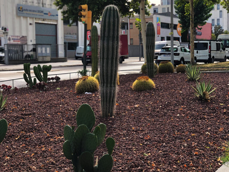 paisatgisme-cactus-igualada-2