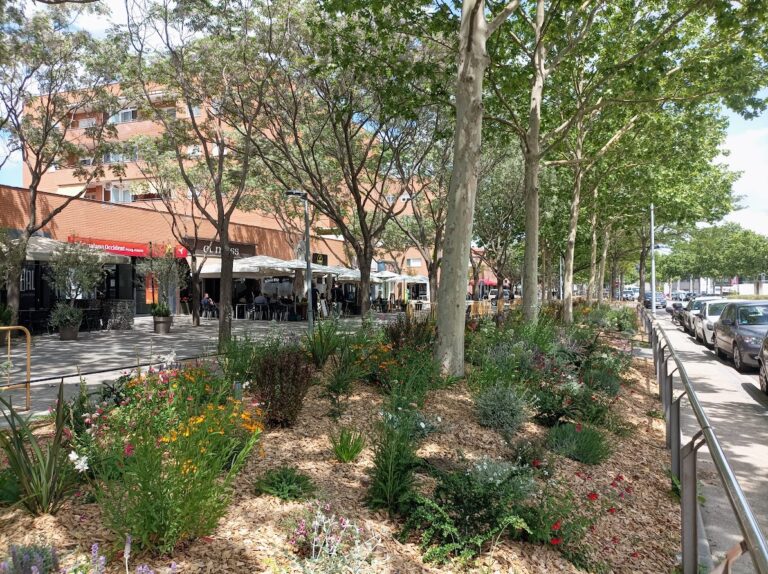 paisatgisme-igualada-av-europa-1